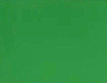 JY-6034 APPLE GREEN GLOSSY